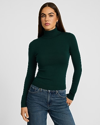 Silky Soft Fitted Turtleneck Sweater