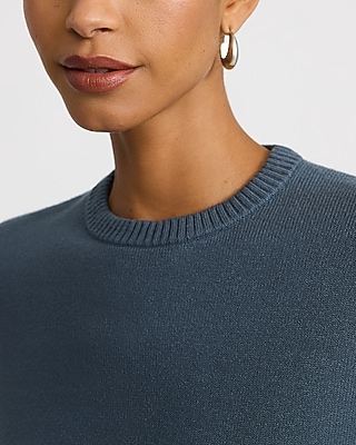 Relaxed Crew Neck Sweater In Ultrasoft | Express