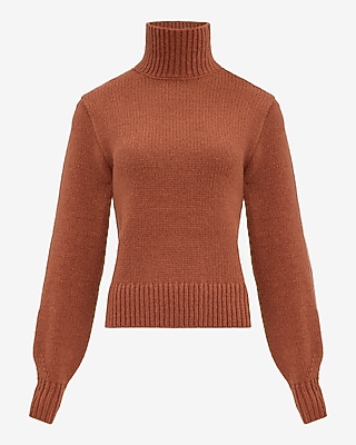 Cozy Soft Turtleneck Sweater | Express