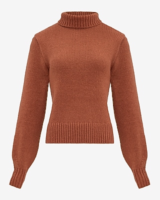 Cozy Soft Turtleneck Sweater | Express