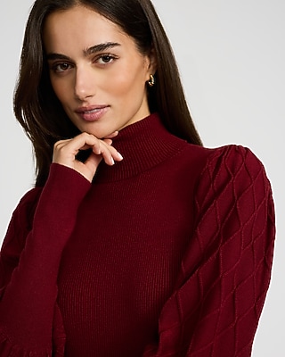 Turtleneck Textured Stitch Long Sleeve Sweater | Express