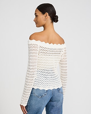 Sheer Crochet Off The Shoulder Fitted Novelty Button Sweater | Express