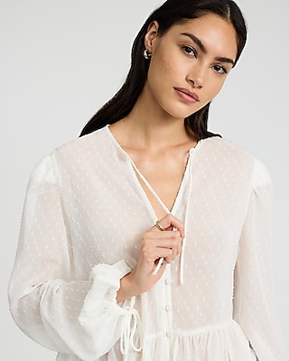 Sheer Lace Long Sleeve Top | Express