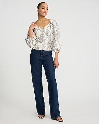 Printed V-neck Long Puff Sleeve Top | Express