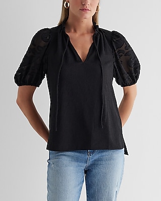 V-neck Sheer Puff Sleeve Drawstring Top | Express