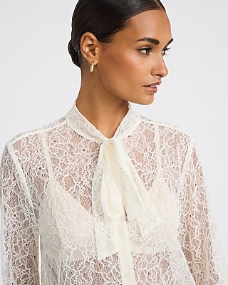Sheer Lace Tie Neck Long Sleeve Button Front Top