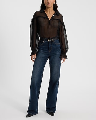 Sheer Collared Long Sleeve Pleated Top