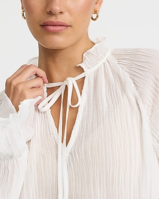 Sheer Textured Tie Neck Long Sleeve Top | Express