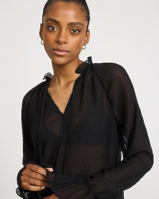 Sheer Textured Tie Neck Long Sleeve Top - thumbnail 2
