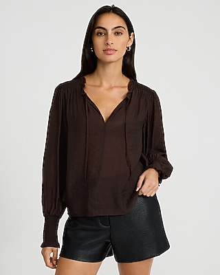 Sheer Textured Tie Front V-Neck Long Sleeve Top