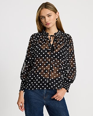 Sheer Polka Dot Tie Neck Long Sleeve Top