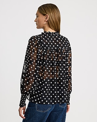 Sheer Polka Dot Tie Neck Long Sleeve Top