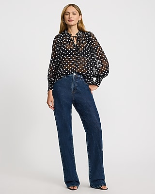 Sheer Polka Dot Tie Neck Long Sleeve Top