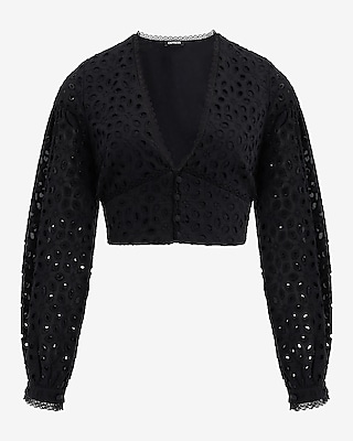 Eyelet V-Neck Long Sleeve Cropped Top