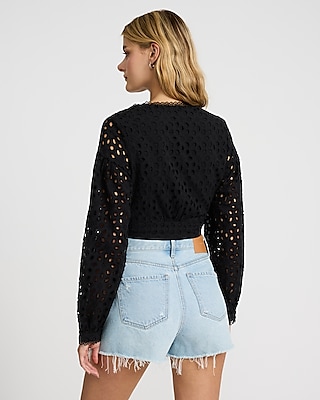 Eyelet V-Neck Long Sleeve Cropped Top