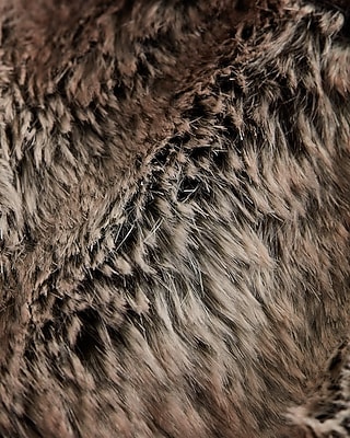Collared Faux Fur Coat