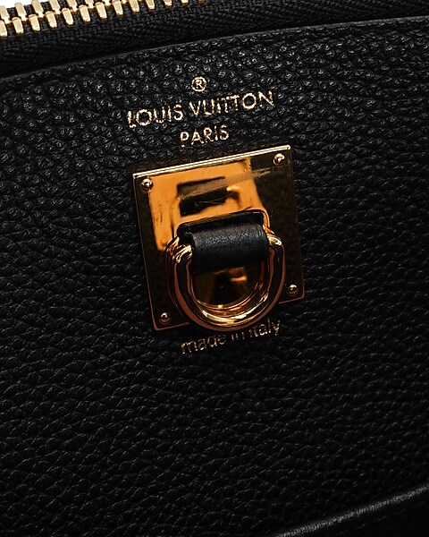 Louis Vuitton Authenticated Pleaty Handbag